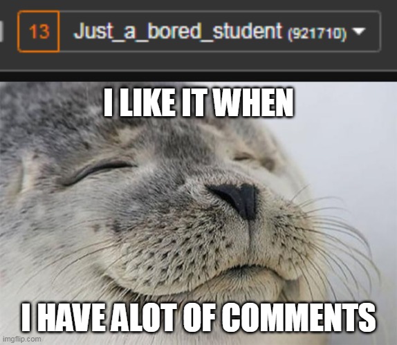 Is it just me? | I LIKE IT WHEN; I HAVE ALOT OF COMMENTS | image tagged in memes,satisfied seal | made w/ Imgflip meme maker