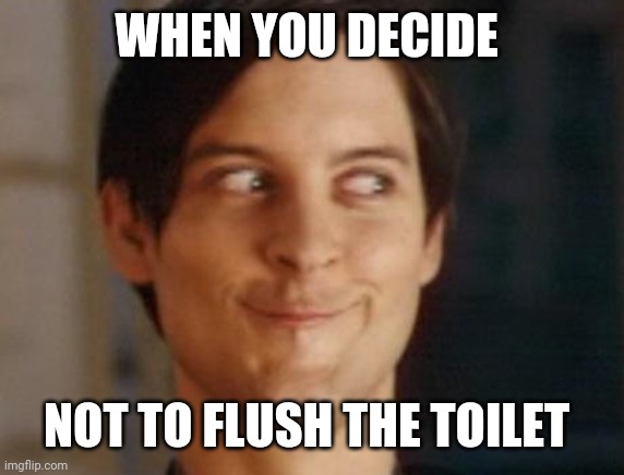 Spiderman Peter Parker Meme | WHEN YOU DECIDE; NOT TO FLUSH THE TOILET | image tagged in memes,spiderman peter parker | made w/ Imgflip meme maker