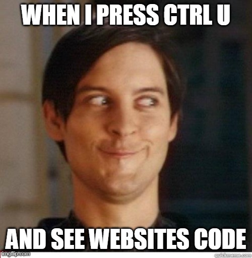 Toby Maguire | WHEN I PRESS CTRL U; AND SEE WEBSITES CODE | image tagged in toby maguire | made w/ Imgflip meme maker