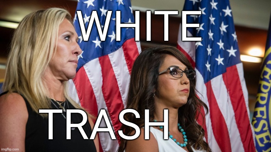 WHITE; TRASH | image tagged in white trash,no class,mean girls | made w/ Imgflip meme maker
