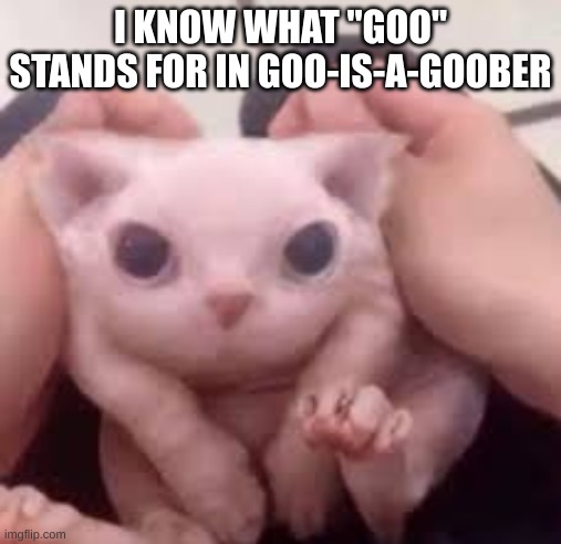 Scrunched Bingus | I KNOW WHAT "GOO" STANDS FOR IN GOO-IS-A-GOOBER | image tagged in scrunched bingus | made w/ Imgflip meme maker