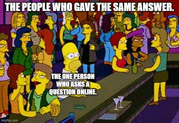 Homer Bar | THE PEOPLE WHO GAVE THE SAME ANSWER. THE ONE PERSON WHO ASKS A QUESTION ONLINE. | image tagged in homer bar | made w/ Imgflip meme maker