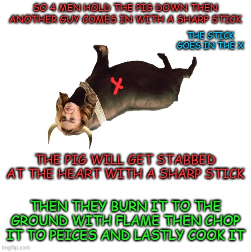 SO 4 MEN HOLD THE PIG DOWN THEN ANOTHER GUY COMES IN WITH A SHARP STICK; THE STICK GOES IN THE X; THE PIG WILL GET STABBED AT THE HEART WITH A SHARP STICK; THEN THEY BURN IT TO THE GROUND WITH FLAME THEN CHOP IT TO PEICES AND LASTLY COOK IT | image tagged in blank white template,memes,msmg | made w/ Imgflip meme maker