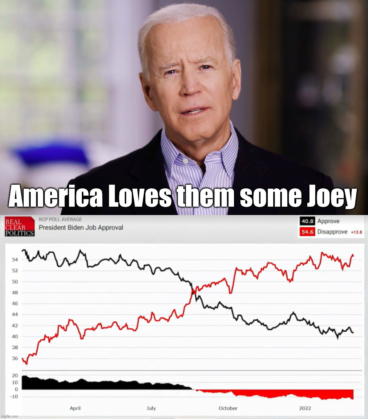 +13.8 disapproval rate | America Loves them some Joey | image tagged in joe biden 2020 | made w/ Imgflip meme maker