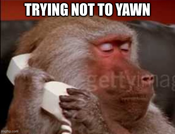 talking to my brother | TRYING NOT TO YAWN | image tagged in can i take a message | made w/ Imgflip meme maker