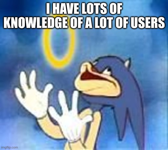 Joyful Sonic | I HAVE LOTS OF KNOWLEDGE OF A LOT OF USERS | image tagged in joyful sonic | made w/ Imgflip meme maker