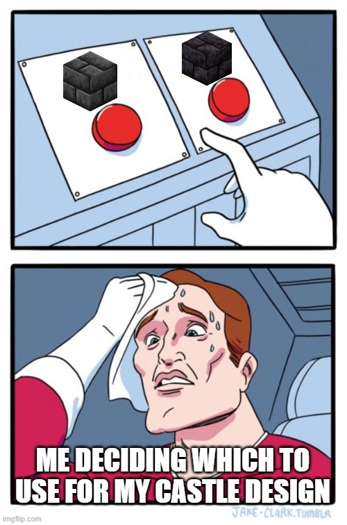 hm | ME DECIDING WHICH TO USE FOR MY CASTLE DESIGN | image tagged in memes,two buttons,minecraft | made w/ Imgflip meme maker