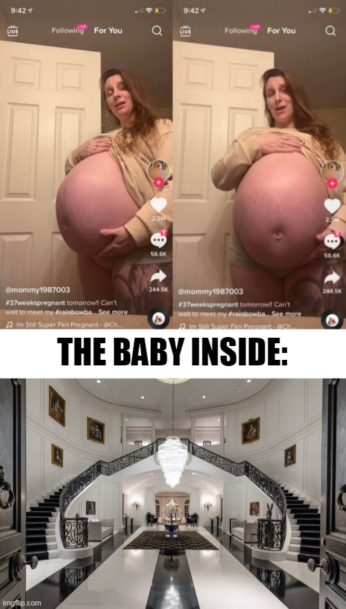 THE BABY INSIDE: | image tagged in memes,funny | made w/ Imgflip meme maker