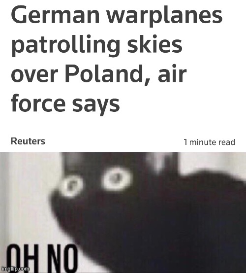 Please no. | image tagged in oh no cat,memes,funny,germany,poland,ww3 | made w/ Imgflip meme maker