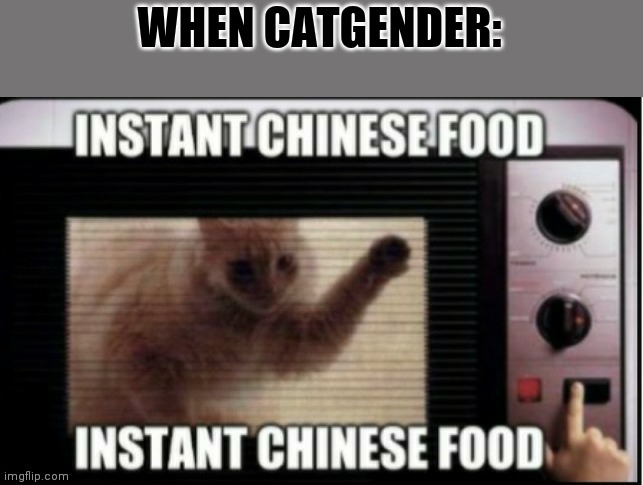 Instant chinese food | WHEN CATGENDER: | image tagged in instant chinese food | made w/ Imgflip meme maker