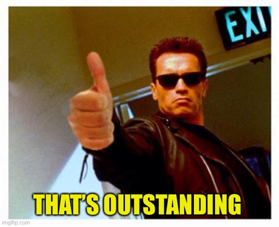 terminator thumbs up | THAT’S OUTSTANDING | image tagged in terminator thumbs up | made w/ Imgflip meme maker