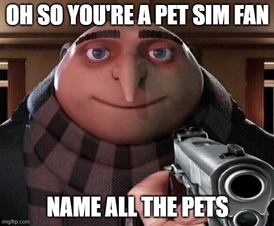 POV: YOU ARE A PET SIM FAN | OH SO YOU'RE A PET SIM FAN; NAME ALL THE PETS | image tagged in gru gun | made w/ Imgflip meme maker