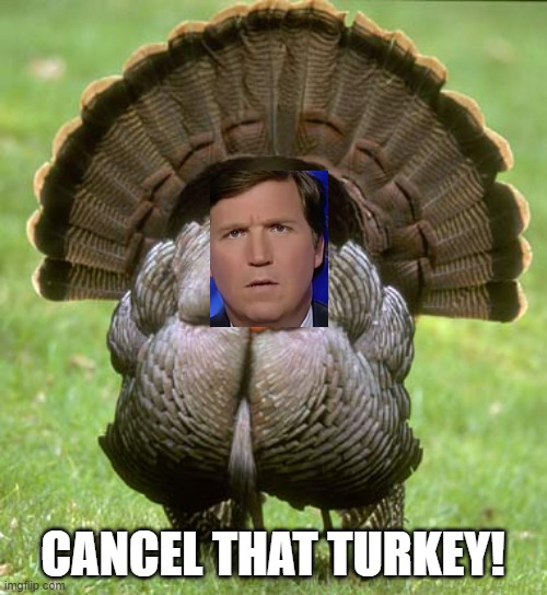 Turkey Meme | CANCEL THAT TURKEY! | image tagged in memes,turkey | made w/ Imgflip meme maker