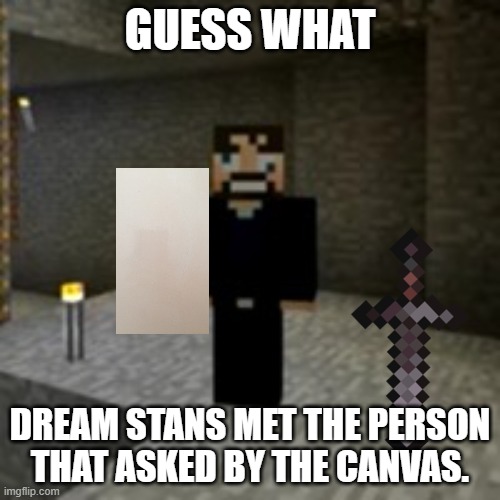 that's no one! | GUESS WHAT; DREAM STANS MET THE PERSON THAT ASKED BY THE CANVAS. | image tagged in derp ssundee strikes again | made w/ Imgflip meme maker