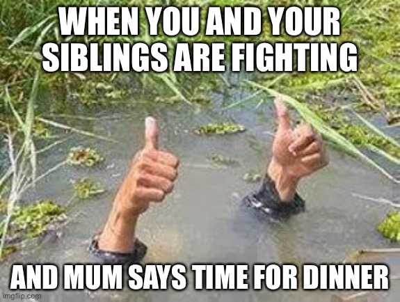 FLOODING THUMBS UP | WHEN YOU AND YOUR SIBLINGS ARE FIGHTING; AND MUM SAYS TIME FOR DINNER | image tagged in flooding thumbs up | made w/ Imgflip meme maker