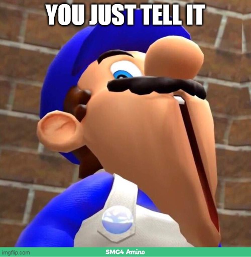 smg4's face | YOU JUST TELL IT | image tagged in smg4's face | made w/ Imgflip meme maker