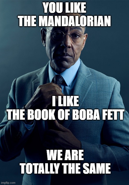 Twist ending | YOU LIKE THE MANDALORIAN; I LIKE
THE BOOK OF BOBA FETT; WE ARE TOTALLY THE SAME | image tagged in gus fring we are not the same,memes,mandalorian,boba fett,the same | made w/ Imgflip meme maker
