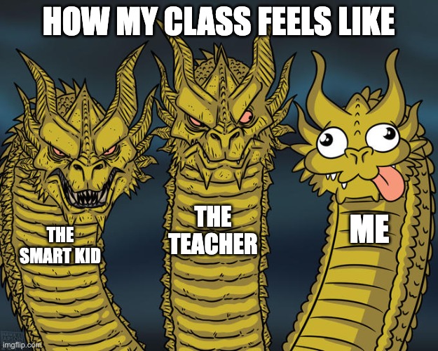 Three-headed Dragon | HOW MY CLASS FEELS LIKE; THE TEACHER; ME; THE SMART KID | image tagged in three-headed dragon | made w/ Imgflip meme maker