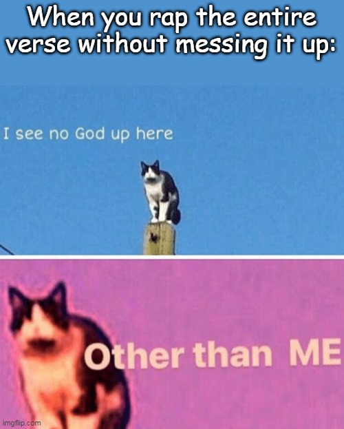 Hail pole cat | When you rap the entire verse without messing it up: | image tagged in hail pole cat | made w/ Imgflip meme maker