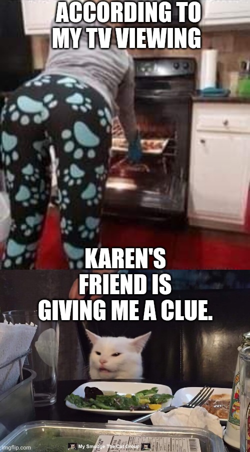 ACCORDING TO MY TV VIEWING; KAREN'S FRIEND IS GIVING ME A CLUE. | image tagged in smudge the cat,smudge | made w/ Imgflip meme maker