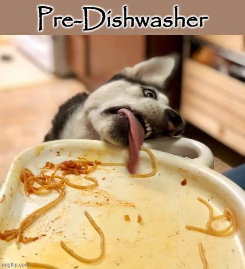 "I`ll clean it !" | Pre-Dishwasher | image tagged in dishwasher | made w/ Imgflip meme maker