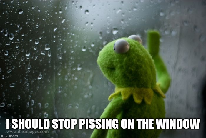 kermit window | I SHOULD STOP PISSING ON THE WINDOW | image tagged in kermit window | made w/ Imgflip meme maker