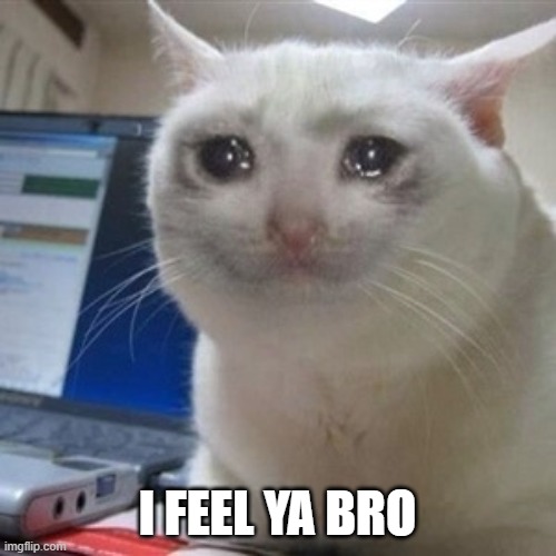 Crying cat | I FEEL YA BRO | image tagged in crying cat | made w/ Imgflip meme maker