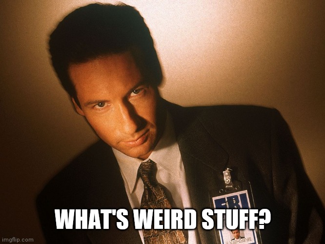 fox mulder  | WHAT'S WEIRD STUFF? | image tagged in fox mulder | made w/ Imgflip meme maker