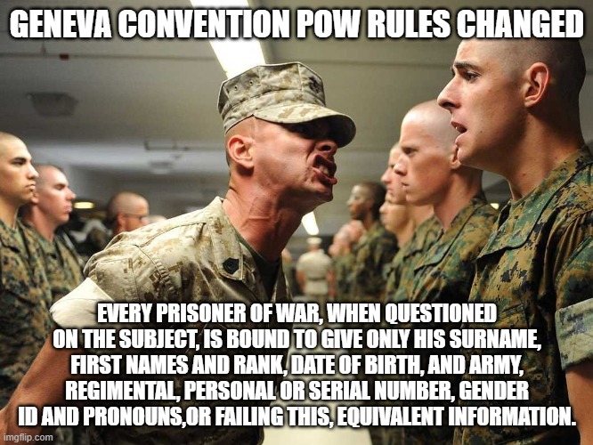 Shouting Soldiers | GENEVA CONVENTION POW RULES CHANGED; EVERY PRISONER OF WAR, WHEN QUESTIONED ON THE SUBJECT, IS BOUND TO GIVE ONLY HIS SURNAME, FIRST NAMES AND RANK, DATE OF BIRTH, AND ARMY, REGIMENTAL, PERSONAL OR SERIAL NUMBER, GENDER ID AND PRONOUNS,OR FAILING THIS, EQUIVALENT INFORMATION. | image tagged in shouting soldiers | made w/ Imgflip meme maker