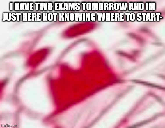 u g h - (Skid Note: relax and do a rp with me-) | I HAVE TWO EXAMS TOMORROW AND IM JUST HERE NOT KNOWING WHERE TO START- | image tagged in cross sans | made w/ Imgflip meme maker