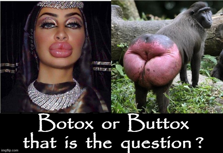 Bottox | image tagged in big butts | made w/ Imgflip meme maker