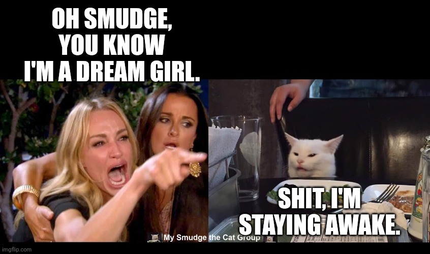OH SMUDGE, YOU KNOW I'M A DREAM GIRL. SHIT, I'M STAYING AWAKE. | image tagged in smudge the cat,smudge | made w/ Imgflip meme maker