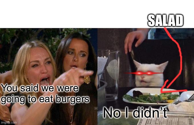 Woman Yelling At Cat | SALAD; You said we were going to eat burgers; No I didn’t | image tagged in memes,woman yelling at cat | made w/ Imgflip meme maker