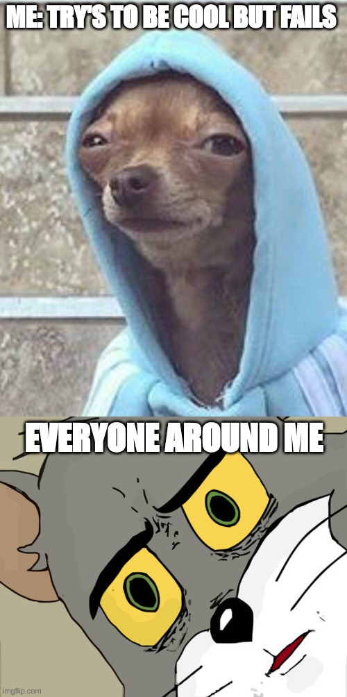 ME: TRY'S TO BE COOL BUT FAILS; EVERYONE AROUND ME | image tagged in memes,unsettled tom,not cool,dog,dog in hoodie | made w/ Imgflip meme maker