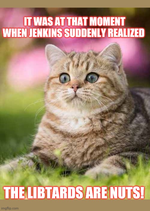 Jenkins found out | IT WAS AT THAT MOMENT WHEN JENKINS SUDDENLY REALIZED; THE LIBTARDS ARE NUTS! | image tagged in kitty,haters gonna hate,cats | made w/ Imgflip meme maker