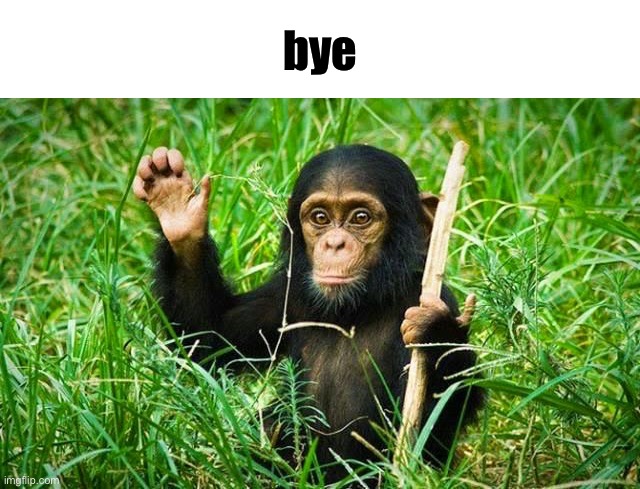 goodbye | bye | image tagged in goodbye | made w/ Imgflip meme maker