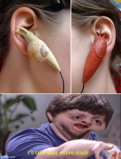 Oh god.. Would you buy Earbugs. | image tagged in i'll take your entire stock,earbugs,atbge,reddit,memes,funny | made w/ Imgflip meme maker