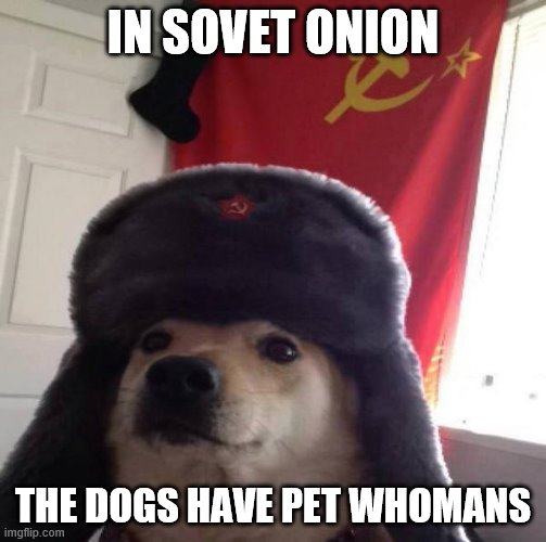 Russian Doge | IN SOVET ONION; THE DOGS HAVE PET WHOMANS | image tagged in russian doge | made w/ Imgflip meme maker