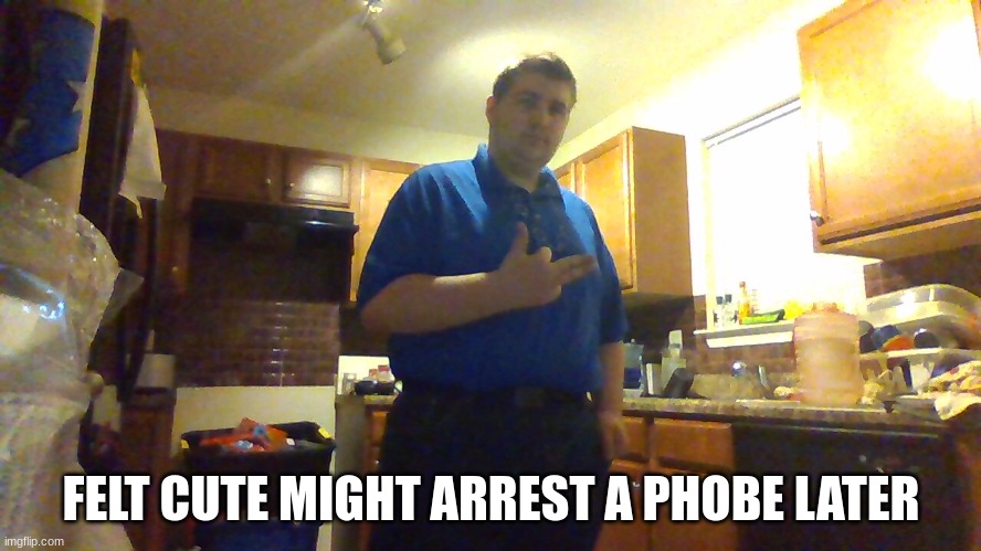 here is the bizzare police just be careful or his sheer handsomeness will make any femboy bust | FELT CUTE MIGHT ARREST A PHOBE LATER | image tagged in femboy,police,handsome | made w/ Imgflip meme maker