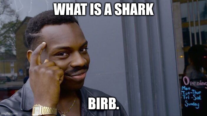 Roll Safe Think About It | WHAT IS A SHARK; BIRB. | image tagged in memes,roll safe think about it | made w/ Imgflip meme maker