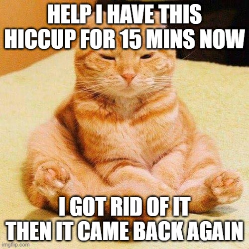chonky cat | HELP I HAVE THIS HICCUP FOR 15 MINS NOW; I GOT RID OF IT THEN IT CAME BACK AGAIN | image tagged in chonky cat | made w/ Imgflip meme maker