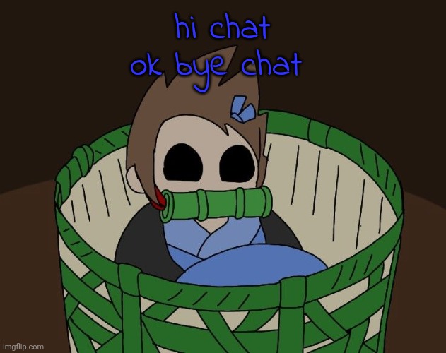 basket tom | hi chat
ok bye chat | image tagged in basket tom | made w/ Imgflip meme maker