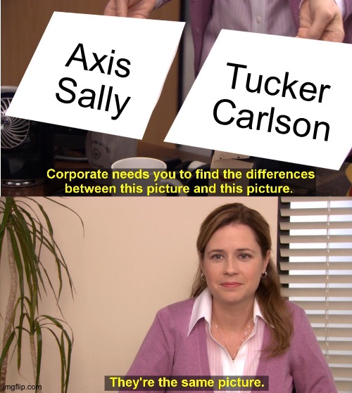 The same | Axis
Sally; Tucker
Carlson | image tagged in memes,they're the same picture | made w/ Imgflip meme maker
