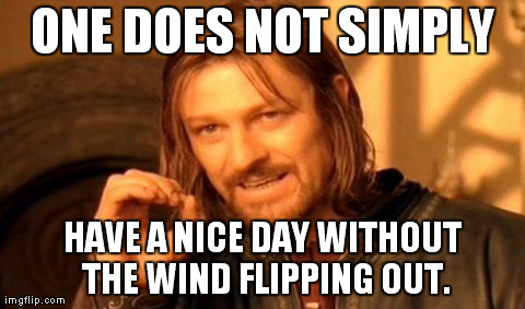 One Does Not Simply Meme | ONE DOES NOT SIMPLY HAVE A NICE DAY WITHOUT THE WIND FLIPPING OUT. | image tagged in memes,one does not simply | made w/ Imgflip meme maker