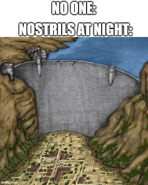 Water dam meme | NOSTRILS AT NIGHT:; NO ONE: | image tagged in water dam meme | made w/ Imgflip meme maker