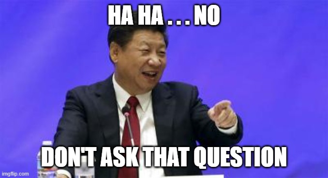 Xi Jinping Laughing | HA HA . . . NO DON'T ASK THAT QUESTION | image tagged in xi jinping laughing | made w/ Imgflip meme maker