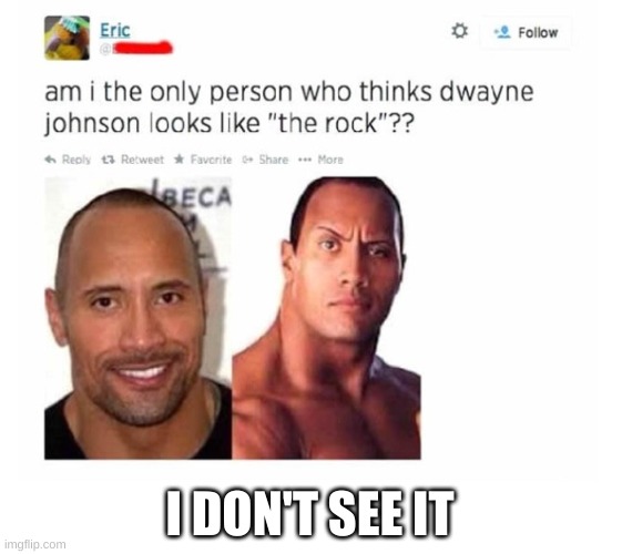 I still don't see it |  I DON'T SEE IT | image tagged in the rock | made w/ Imgflip meme maker