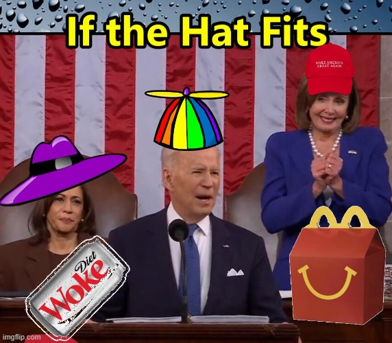 IF the Hat Fits Wear it Proudly | image tagged in state of union,biden,pelosi,harris | made w/ Imgflip meme maker