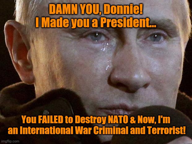 Putin Crying | DAMN YOU, Donnie! I Made you a President... You FAILED to Destroy NATO & Now, I'm  an International War Criminal and Terrorist! | image tagged in putin crying | made w/ Imgflip meme maker