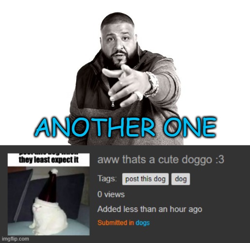 :/ | ANOTHER ONE | image tagged in dj khaled another one,msmg,memes | made w/ Imgflip meme maker